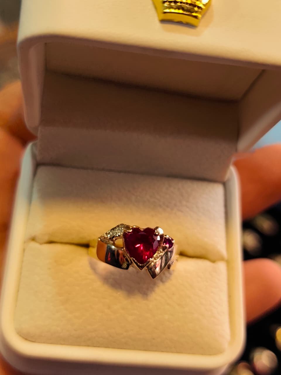 Anillo 6